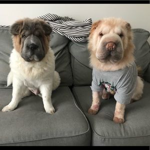 Meet your Posher, Thanh